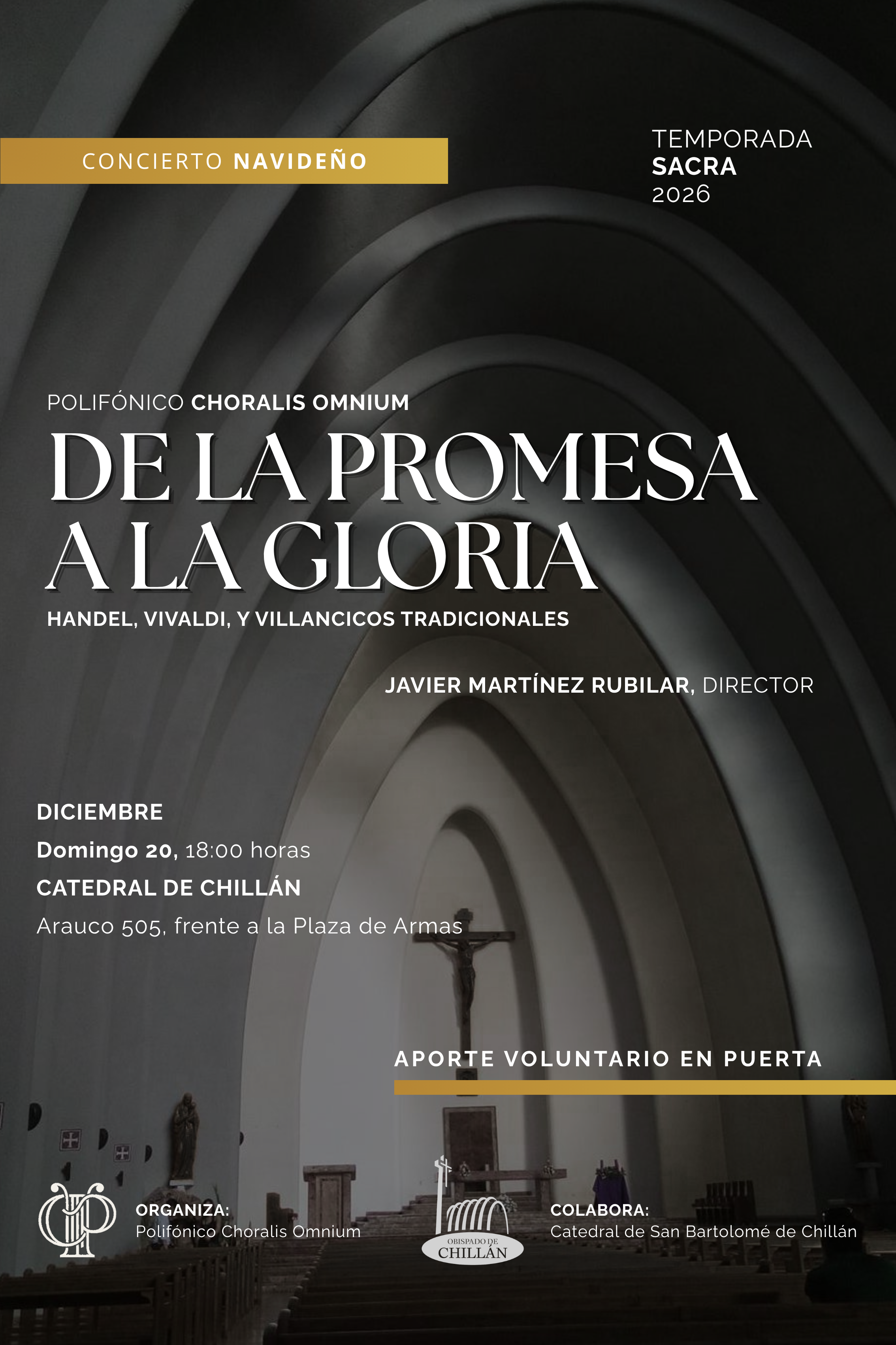 Afiche Chillán.png